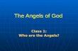 The Angels of God Class 1: Who are the Angels?. .