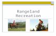Rangeland Recreation Jen Peterson. Recreational on rangeland is increasing  Changing recreation types Upward trend in thrill-based activities like rock.