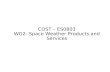 COST – ES0803 WG2: Space Weather Products and Services.