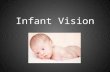 Infant Vision. Adult Vision vs Newborn Vision Adult Vison vs 3 Month Infant.