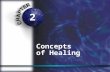 2 Concepts of Healing. Healing By secondary intention: Separation is large Tissue must fill space More scar, longer healing time By primary intention: