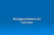 Biogeochemical Cycles. Objectives:  Identify and describe the flow of nutrients in each biogeochemical cycle.  Explain the impact that humans have on.