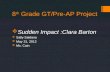 8 th Grade GT/Pre-AP Project  Sudden Impact :Clara Barton  Sally Saldana  May 31, 2012  Ms. Cain.