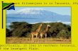 Mount Kilimanjaro is in Tanzania, Africa More specifically, it lies in northern Tanzania, just east of the Serengeti Plain.