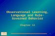 Steven I. Dworkin, Ph.D. 1 Observational Learning, Language and Rule-Governed Behavior Chapter 12.