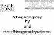 Steganography and Steganalysis What’s hiding on your suspect’s computer?