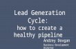 Lead Generation Cycle: how to create a healthy pipeline Andrey Dovgan Business Development Director.