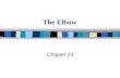 The Elbow Chapter 23. n Bones: composed of 3 bones »- »Articulations: permits »- Elbow Anatomy.
