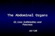 The Abdominal Organs GI, Liver, Gallbladder, and Pancreas AH 120.