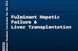 UTHSCSA Pediatric Resident Curriculum for the PICU Fulminant Hepatic Failure & Liver Transplantation.