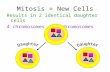 Mitosis = New Cells Results in 2 identical daughter cells 4 chromosomes  4 chromosomes.
