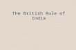 The British Rule of India. The British Empire The Devilfish in Egyptian Waters.
