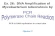Ex. 26: DNA Amplification of Mycobacterium tuberculosis by PCR is DNA replication in a test tube Objectives ??