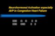 Neurohormonal Activation especially AVP in Congestive Heart Failure 陈宇寰 丁 宁 高 柳 郭华秋 韩国嵩 臧 鹏.