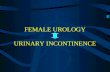 FEMALE UROLOGY URINARY INCONTINENCE. WHY do we need to learn something about incontinence? When is a condition “IMPORTANT”?