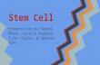 Stem Cell Presentation by Rachel Moore, Caitlin England, Tyler Vlaiku, & Spencer Rohr.