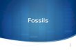 Fossils D. Crowley, 2008. Fossils To know how fossils are formed.