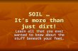 SOIL … It’s more than just dirt! Learn all that you ever wanted to know about the stuff beneath your feet.