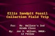 Ellis Sandpit Fossil Collection Field Trip For: Mr. Wallace’s 3rd Grade Class By: Jon D. Wilson, NMGK-12 Fellow Date: April 19, 2002.