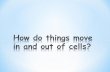 * GPS: S7L2 Students will describe the structure and function of cells, tissues, organs, and organ systems. a. Explain that cells take in nutrients in.