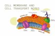 CELL MEMBRANE AND CELL TRANSPORT NOTES. CA Standard Cell Biology 1. a. Students know cells are enclosed within semipermeable membranes that regulate their.