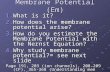 1 Membrane Potential (Em) 1.What is it? 2.How does the membrane potential arise? 3.How do you estimate the Membrane Potential with the Nernst Equation?