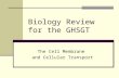 Biology Review for the GHSGT The Cell Membrane and Cellular Transport.