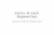 Cells & Cell Organelles Structure & Function. Image from:  A CELL is... made of MOLECULES _______.