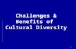 1 Challenges & Benefits of Cultural Diversity. 2 Challenges of Diversity Communication Barriers Communication Barriers Resistance to Change Resistance.