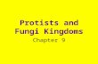 Protists and Fungi Kingdoms Chapter 9. What is a protist? A single or many-celled organism that lives in moist or wet surroundings.