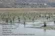 Wetland Restoration Definitions Motivations Types and Approaches Costs Design Issues Ecological Theory Monitoring Case Studies Southern California Restoration.