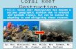 Coral Reef Destruction By: Mrs. Winiarski, Mrs. Wilda, Mrs. Rahman, Mr. Chokshi, Mr. Ziemer, and Mr. Hartman Thesis: Coral reef destruction has become.