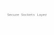 Secure Sockets Layer. SSL SSL is a communications protocol layer which can be placed between TCP/IP and HTTP It intercepts web traffic and provides security.