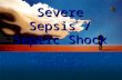 Severe Sepsis / Septic Shock Division of Critical Care Medicine University of Alberta.
