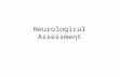 Neurological Assessment. Anatomy of Nervous System Central –Brain –Spinal cord Peripheral –Cranial Nerves –Spinal Nerves.