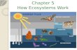 Chapter 5 How Ecosystems Work 1. Section 1 Energy Flow in Ecosystems 2.