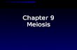 Chapter 9 Meiosis  asexual: one parent  sexual: two parents  What is MITOSIS? ASEXUAL ASEXUAL or SEXUAL? Asexual vs. sexual reproduction  asexual: