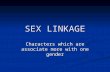 SEX LINKAGE Characters which are associate more with one gender.