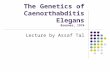 The Genetics of Caenorthabditis Elegans Brenner, 1974 Lecture by Assaf Tal.