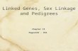 Linked Genes, Sex Linkage and Pedigrees Chapter 15 Pages333 - 354.