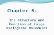 Chapter 5: The Structure and Function of Large Biological Molecules.