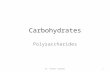 Carbohydrates Polysaccharides Dr. Nikhat Siddiqi1.