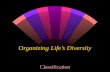 Organizing Life’s Diversity Classification. w ______________- system of grouping objects or information based on similarities. w ____________- study that.