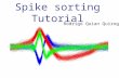 Spike sorting Tutorial Rodrigo Quian Quiroga. Problem: detect and separate spikes corresponding to different neurons.