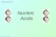 Biochemistry 3070 – Nucleic Acids 1 Nucleic Acids Biochemistry 3070.