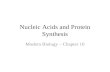 Nucleic Acids and Protein Synthesis Modern Biology – Chapter 10.