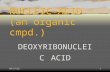 5/19/20151 NUCLEIC ACID (an organic cmpd.) DEOXYRIBONUCLEIC ACID.