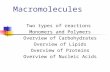 Macromolecules Two types of reactions Monomers and Polymers Overview of Carbohydrates Overview of Lipids Overview of Proteins Overview of Nucleic Acids.