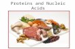 Proteins and Nucleic Acids. Nucleic Acids - Function Food sources: high protein foods like nuts, meat, fish, milk, beans There are 2 types of nucleic.