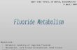 Metabolic handling of ingested fluoride Absorption, soft-tissue distribution, hard tissue uptake, and excretion Objectives: DENT 5302 TOPICS IN DENTAL.